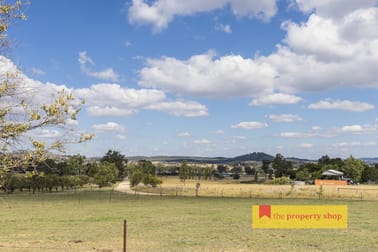 106 Wyaldra Lane Mudgee NSW 2850 - Image 2