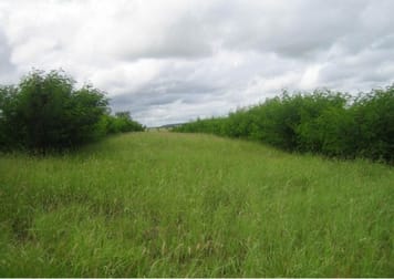 416 Duck Creek Road Roma QLD 4455 - Image 2