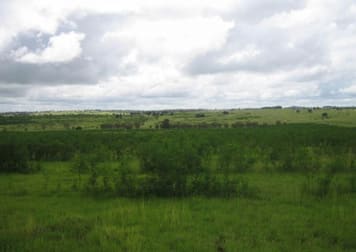416 Duck Creek Road Roma QLD 4455 - Image 3