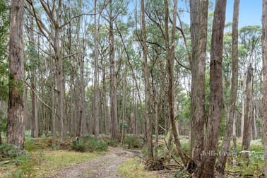 155 Stringy Bark Track Mollongghip VIC 3352 - Image 3