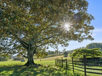 1199 Reserve Creek Road Reserve Creek NSW 2484 - Image 2