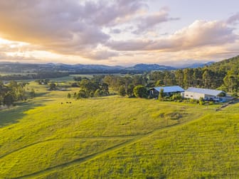 36 Marshdale Road Dungog NSW 2420 - Image 1