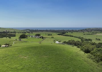 Lot 3001- Hill Block Rose Valley Road Rose Valley NSW 2534 - Image 1