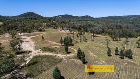 2600 Sandy Creek Road Gulgong NSW 2852 - Image 1