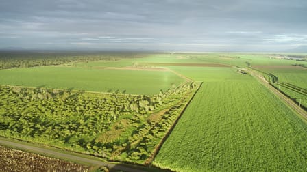 1235 Kirknie Road Kirknie QLD 4806 - Image 2