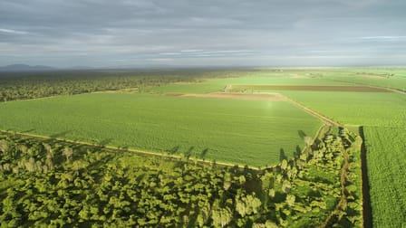 1235 Kirknie Road Kirknie QLD 4806 - Image 3