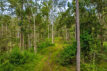 Lot 984 Arborfourteen Road Glenwood QLD 4570 - Image 2