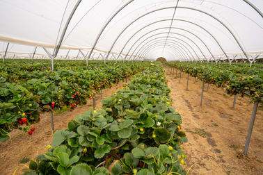 275 Simpson Road Denbarker WA 6324 - Image 2