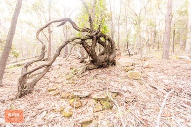 62 Una Road Bucketty NSW 2250 - Image 1