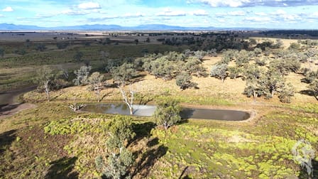 20713 Kamilaroi Highway Narrabri NSW 2390 - Image 3