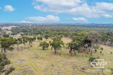 215 New England Highway Deepwater NSW 2371 - Image 1