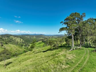 59 Wyndham Road Wyneden NSW 2474 - Image 3