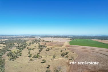 1612 Pindaroi Road Inverell NSW 2360 - Image 1