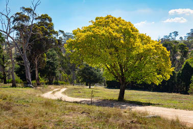 1387 Mutton Falls Road O'connell NSW 2795 - Image 3