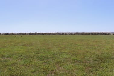 Click to view all images 4 Shelford-Mt Mercer Road Shelford VIC 3329 - Image 3