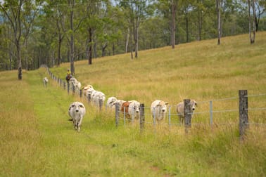 238 Blacksnake Road Black Snake QLD 4600 - Image 1