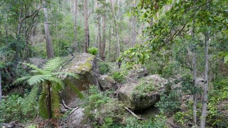 3447 Rocky River Road Rocky River NSW 2372 - Image 2