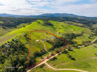 485 Pericoe Rd Towamba NSW 2550 - Image 1