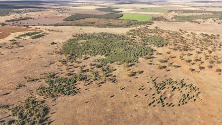 1902 Contour Road Murrami NSW 2705 - Image 3