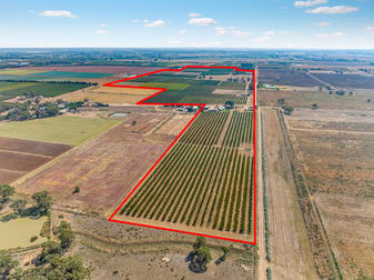 107 Box Road Tyntynder South VIC 3586 - Image 2