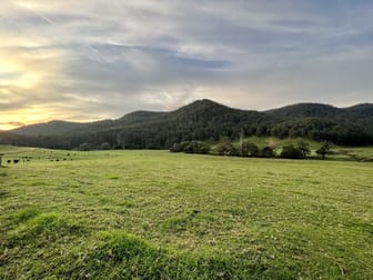Lot 21 Watagan Creek Road Laguna NSW 2325 - Image 3
