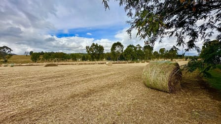 11032 Mount Lindsay Highway Palen Creek QLD 4287 - Image 3