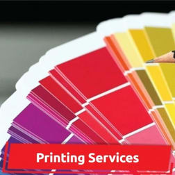 Paper / Printing  business for sale in Coomera - Image 3