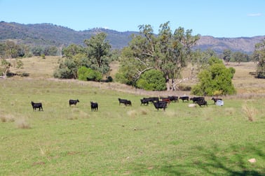 5413 Cobbadah Road Bingara NSW 2404 - Image 3