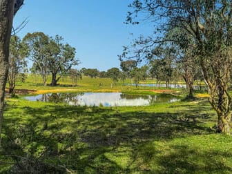 318 Gostwyck Road Uralla NSW 2358 - Image 2