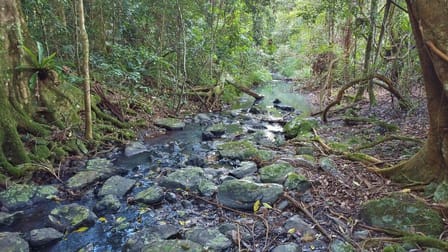 209 Billen Road Georgica NSW 2480 - Image 1