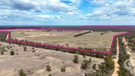 1767 Stumpy Lane Road Wee Waa NSW 2388 - Image 1