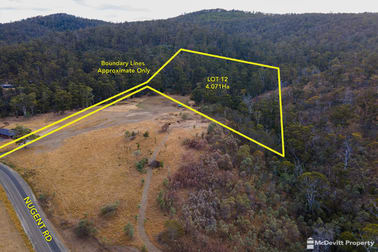 Lot 12/970 Nugent Rd Wattle Hill TAS 7172 - Image 1