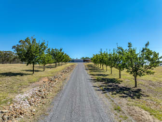 661 Mt Baw Baw Road Goulburn NSW 2580 - Image 2