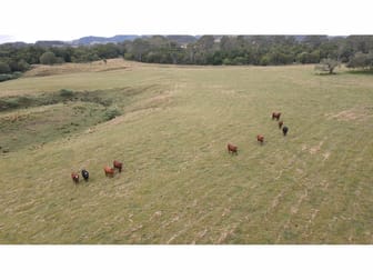 1262 Willina Road Bunyah NSW 2429 - Image 1
