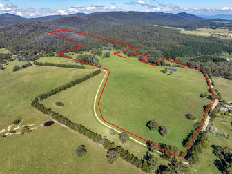 65 Sawyers Ridge Road Reidsdale NSW 2622 - Image 1