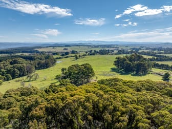 65 Sawyers Ridge Road Reidsdale NSW 2622 - Image 2