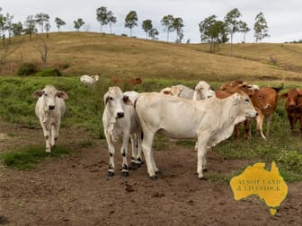 0 "Tracey's" & "Green Gully", Monto - Mount Perry Road Mount Perry QLD 4671 - Image 2