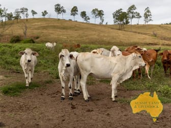 "Tracey's" & "Green Gully", Monto - Mount Perry Road Mount Perry QLD 4671 - Image 2