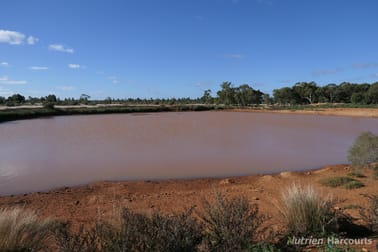 Shearlegs/31780 Kidman Way Nymagee NSW 2831 - Image 3