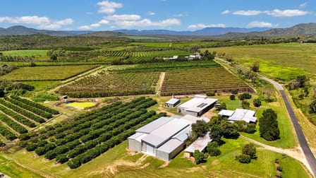 119 McLeod Road Mutchilba QLD 4872 - Image 1