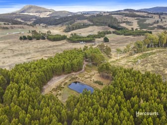 192 Tin Pot Marsh Road Woodsdale TAS 7120 - Image 1