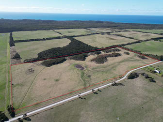 Lot 1 Haines Road Egg Lagoon TAS 7256 - Image 1