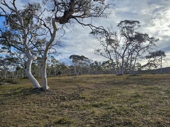 381 Williams Drive Lower Boro NSW 2580 - Image 2