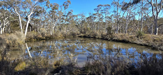 381 Williams Drive Lower Boro NSW 2580 - Image 3