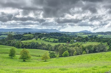 Dorrigo NSW 2453 - Image 2