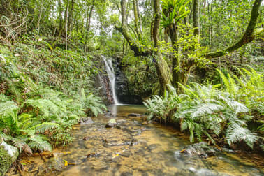 Dorrigo NSW 2453 - Image 3