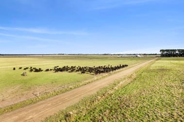 Timboon-Terang Road Ecklin South VIC 3265 - Image 2