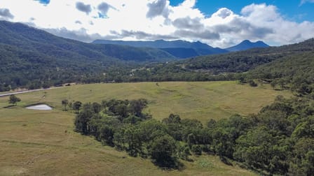 0 CUNNINGHAM HIGHWAY Tregony QLD 4370 - Image 1