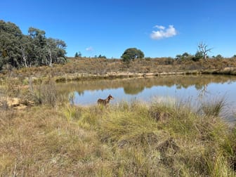 Lot 127 Kiowarra Road Bevendale NSW 2581 - Image 1