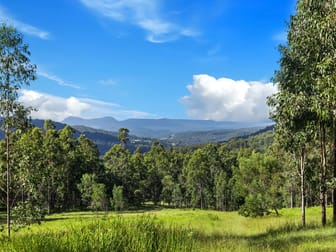 Lot 62-69 Duck Creek Road Duck Creek NSW 2469 - Image 3